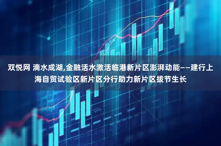 双悦网 滴水成湖,金融活水激活临港新片区澎湃动能——建行上海自贸试验区新片区分行助力新片区拔节生长